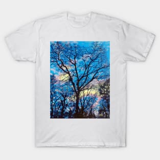 'EVENING TREES' T-Shirt